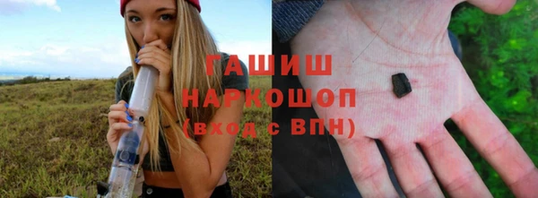 ешки Новодвинск