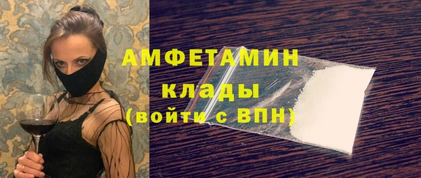ешки Новодвинск