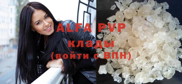 ешки Новодвинск