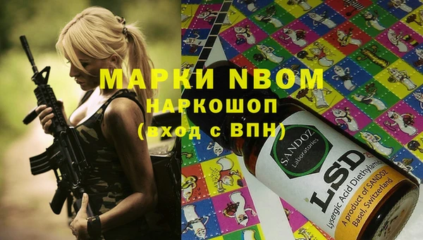 ешки Новодвинск
