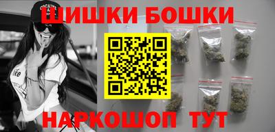 стафф Гай