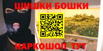 стафф Гай