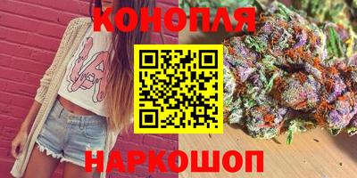 стафф Гай
