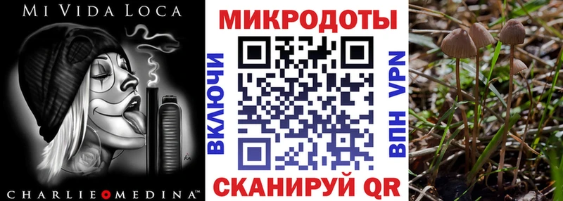 где найти   Кашира  Галлюциногенные грибы мухоморы 