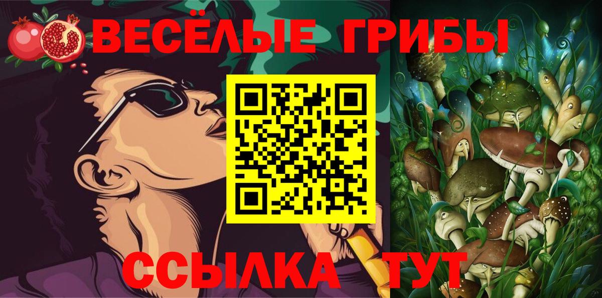 Кашира  Галлюциногенные грибы GOLDEN TEACHER  Псилоцибиновые грибы Psilocybe  Вход с VPN 