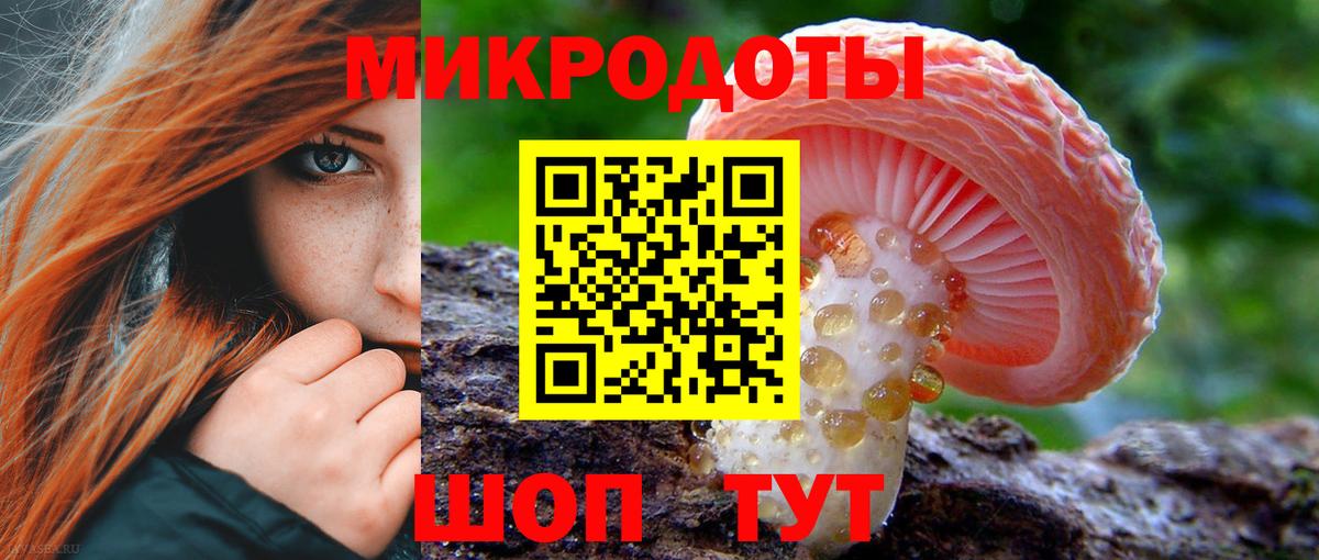 Псилоцибиновые грибы мухоморы  Галлюциногенные грибы Psilocybe  Кашира 